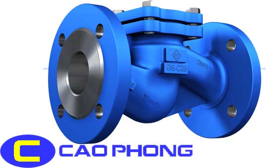 Các Loại Van Công Nghiệp Trong Đường Ống 6 van-mot-chieu