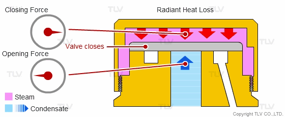 Bẫy Hơi Đồng Tiền - Tìm Hiểu Cấu Tạo, Nguyên Lý Hoạt Động 2 bay-hoi-dong-tien