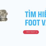 Tìm Hiểu Về Foot Valve Là Gì? Crepin là gì? 12 FOOT VALVE
