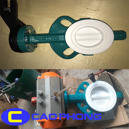 Van Bướm Seat PTFE 3 van-buom-phu-teflon
