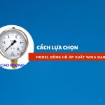 Cách chọn Model đồng hồ áp suất WIKA dạng bourdon hiệu quả 1 dong ho ap suat wika