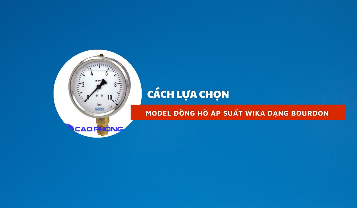 Cách chọn Model đồng hồ áp suất WIKA dạng bourdon hiệu quả 1 dong ho ap suat wika