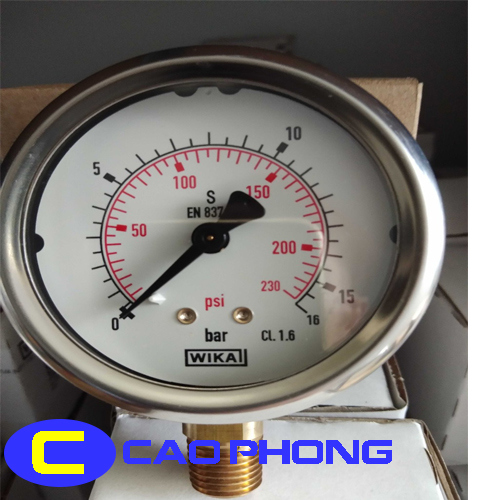 Cách chọn Model đồng hồ áp suất WIKA dạng bourdon hiệu quả 2 wika-213-53