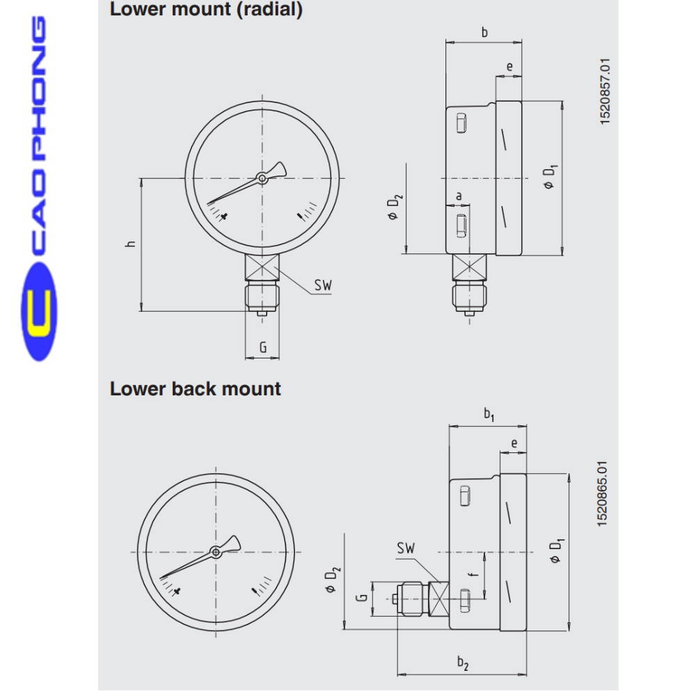 WIKA 212.20 - Đồng hồ đo áp suất Wika Model 212.20 1 WIKA-Model-212.20