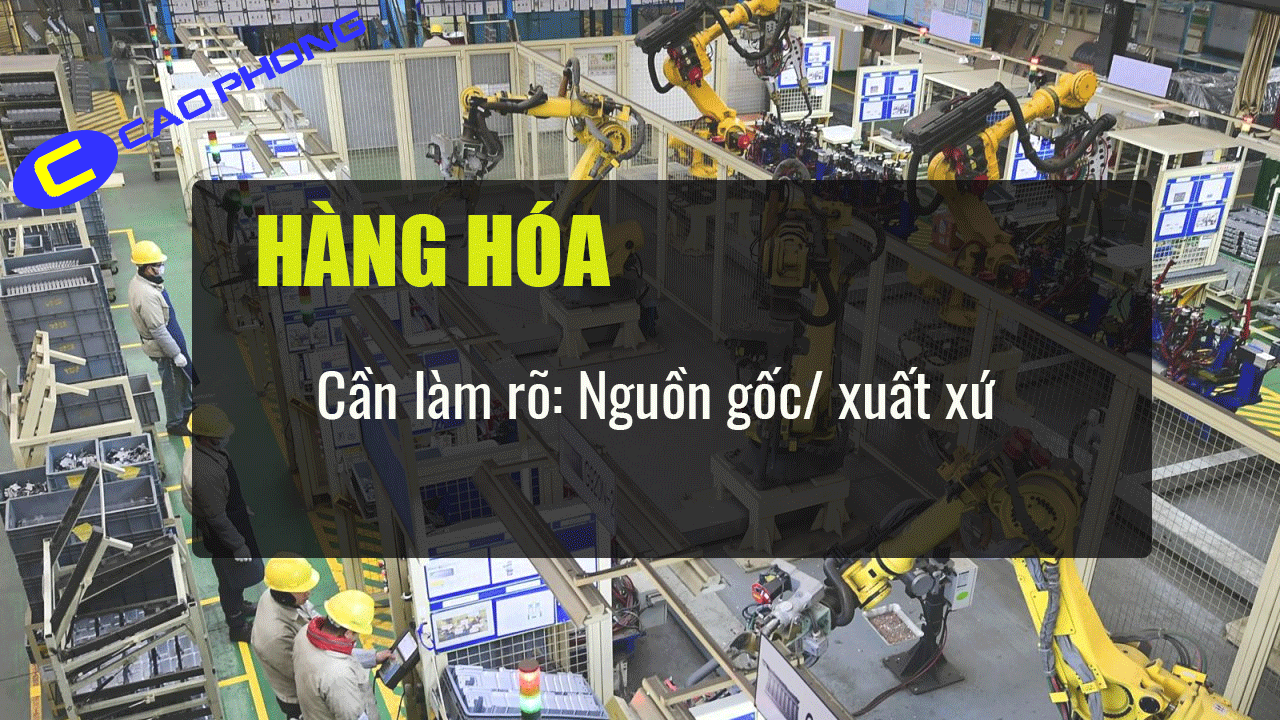 nguon-goc-van-buom