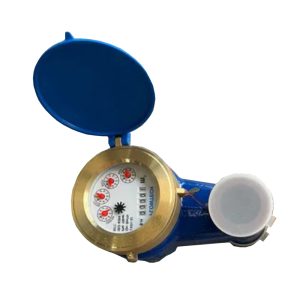Đồng Hồ Nước Lắp Đứng Flowtech LXSV