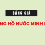 Bảng Giá Đồng Hồ Nước Minh Hòa 1 dong ho nuoc minh hoa