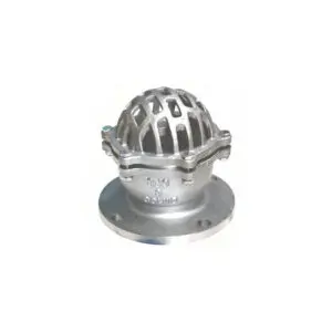 Rọ Bơm Inox 304 ERA Nối Bích JIS10K