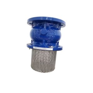 Rọ Bơm Gang JIS10K Arita Model AFV-FE