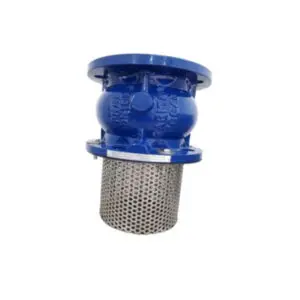 Rọ Bơm Gang JIS10K Arita Model AFV-FE