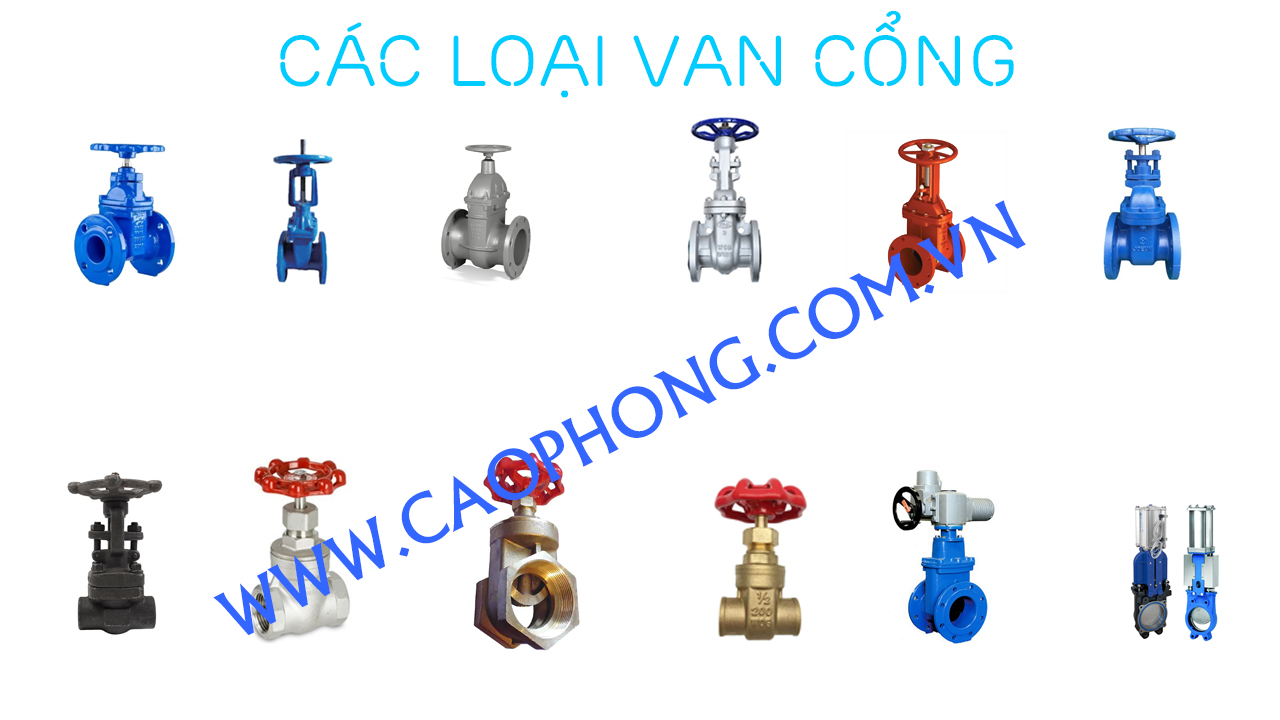 cac-loai-van-cong