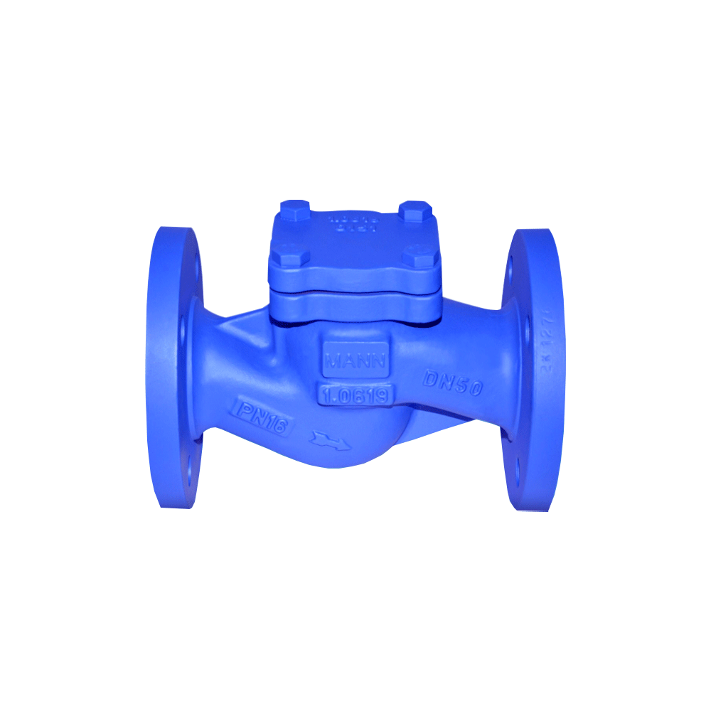 Van-Một-Chiều-Gang-MANN-Chuẩn-PN16 Van-Một-Chiều-Gang-MANN-Chuẩn-PN16
