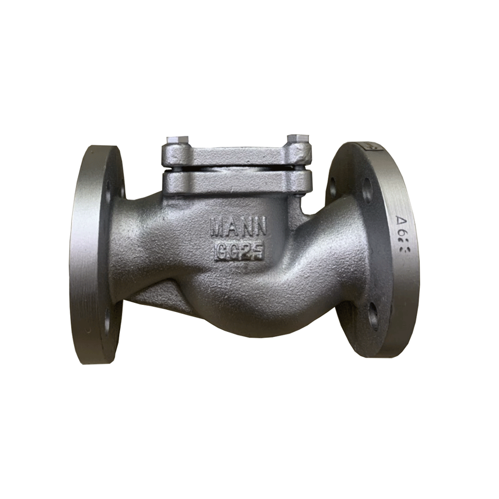 Van-Một-Chiều-Gang-MANN-Chuẩn-PN16 Van-Một-Chiều-Gang-MANN-Chuẩn-PN16