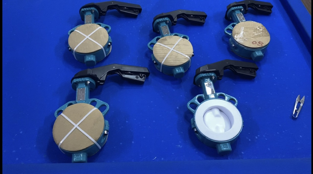 Van Bướm Tay Gạt Có Bao Nhiêu Loại, Loại Nào Tốt 3 van-buom-seal-PTFE