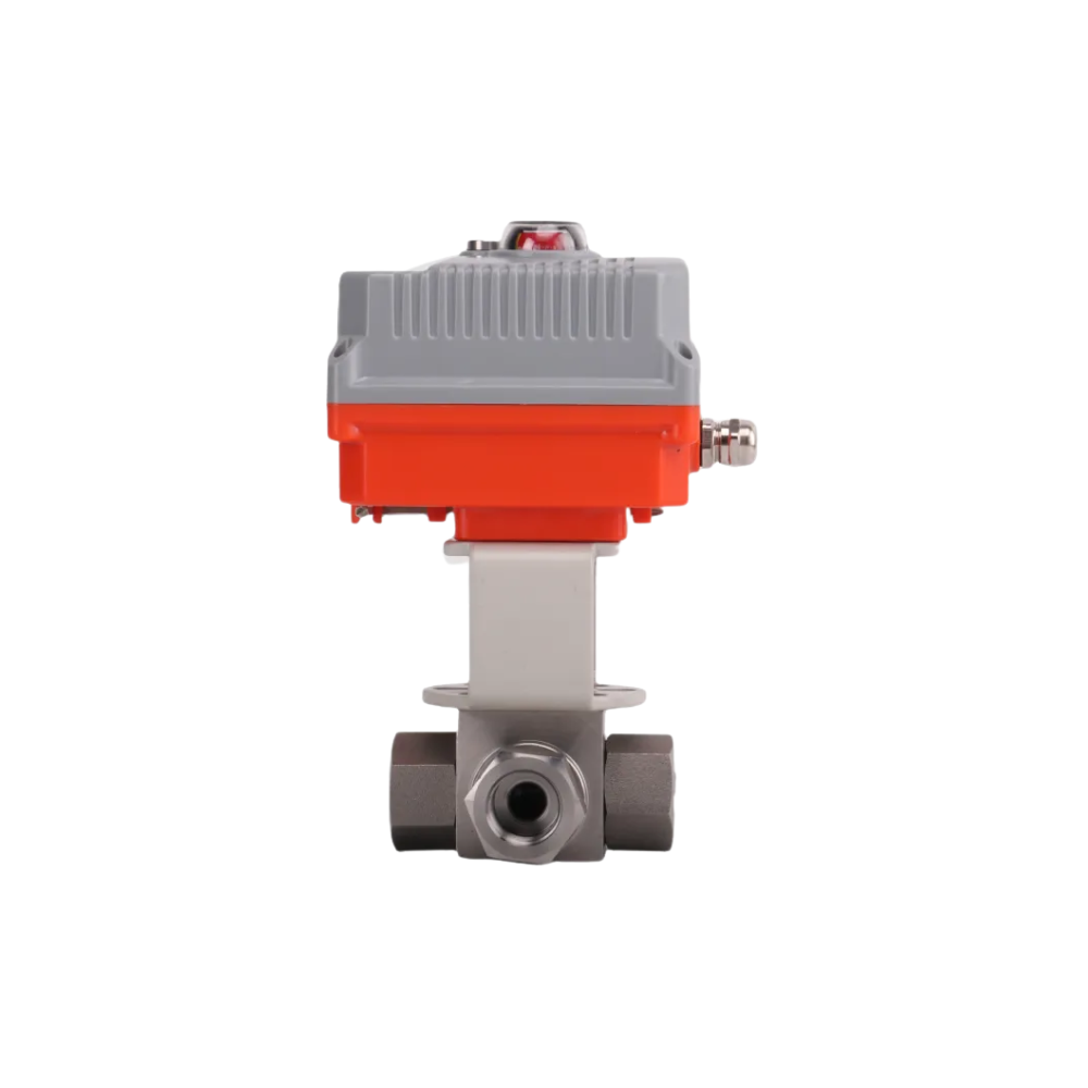 1000-21-1.png 1000-21-1.png