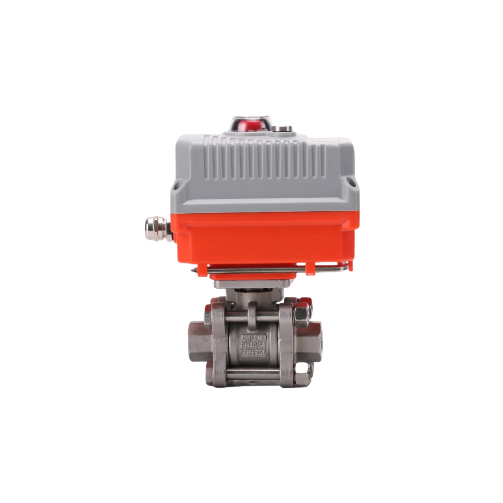 1000-24-2.png 1000-24-2.png