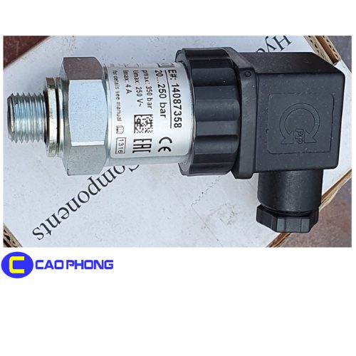 Thiet-ke-chua-co-ten-1.jpg Thiet-ke-chua-co-ten-1.jpg