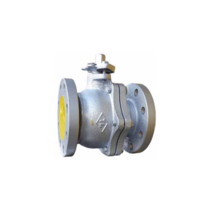 Van bi gang nối bích JIS10K TungLung