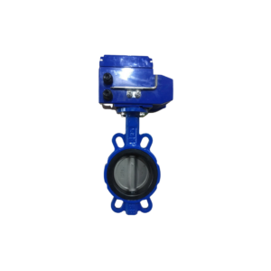 Van bướm gang điều khiển điện SAMWON DN100