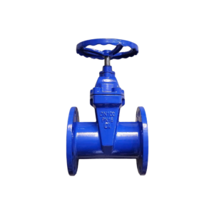 Van cổng gang DN100 (Phi110) Samwoo PN16