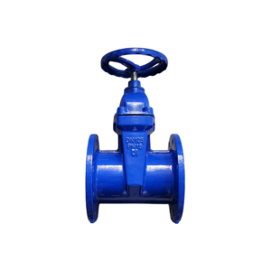 Van cổng gang DN125 (Phi141) Samwoo PN16