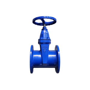 Van cổng gang DN150 (Phi168) Samwoo PN16