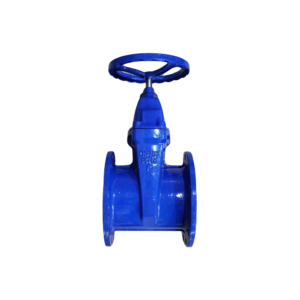 Van cổng gang DN200 (Phi219) Samwoo PN16