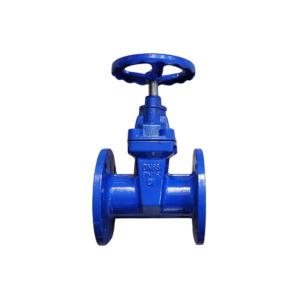 Van cổng gang DN65 (Phi76) Samwoo PN16