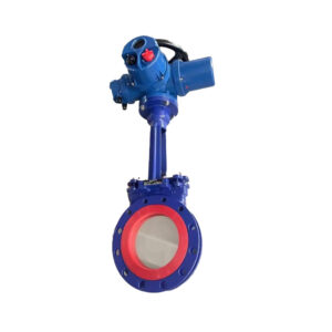 Van Cổng Gang Điều Khiển Điện Samwoo 220 VAC